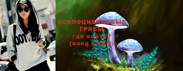 ПСИЛОЦИБИНОВЫЕ ГРИБЫ Гусь-Хрустальный