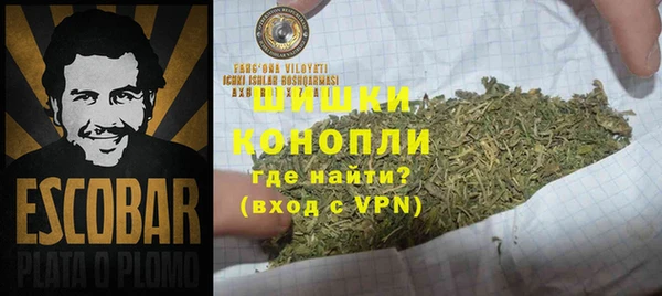 круглые Гусев