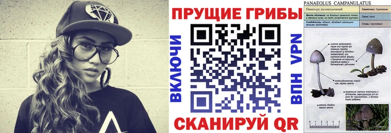 Галлюциногенные грибы Magic Shrooms  купить  цена  Жигулёвск 